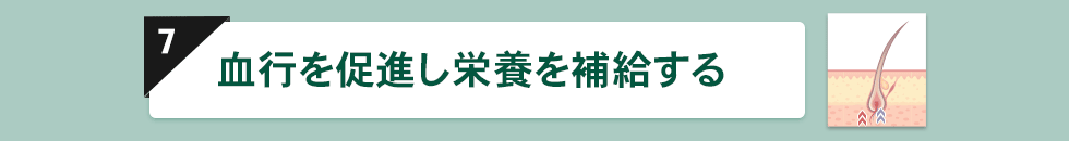「⾎⾏を促進し栄養を補給する」